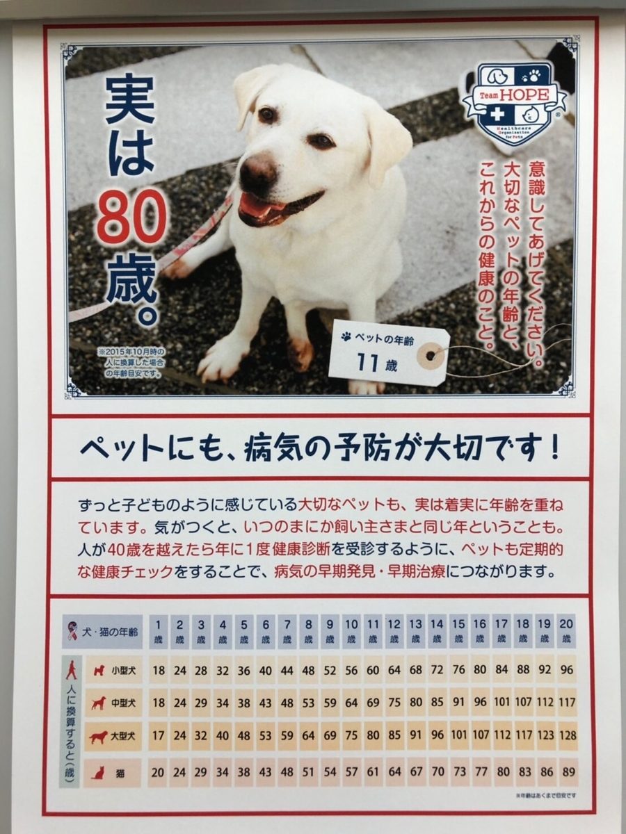 f:id:attack-mana1212:20190520215021j:plain f:id:attack-mana1212:20190520215021j:plain