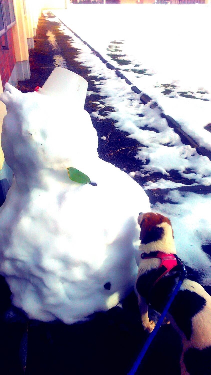 f:id:attack-mana1212:20190523213905j:plain