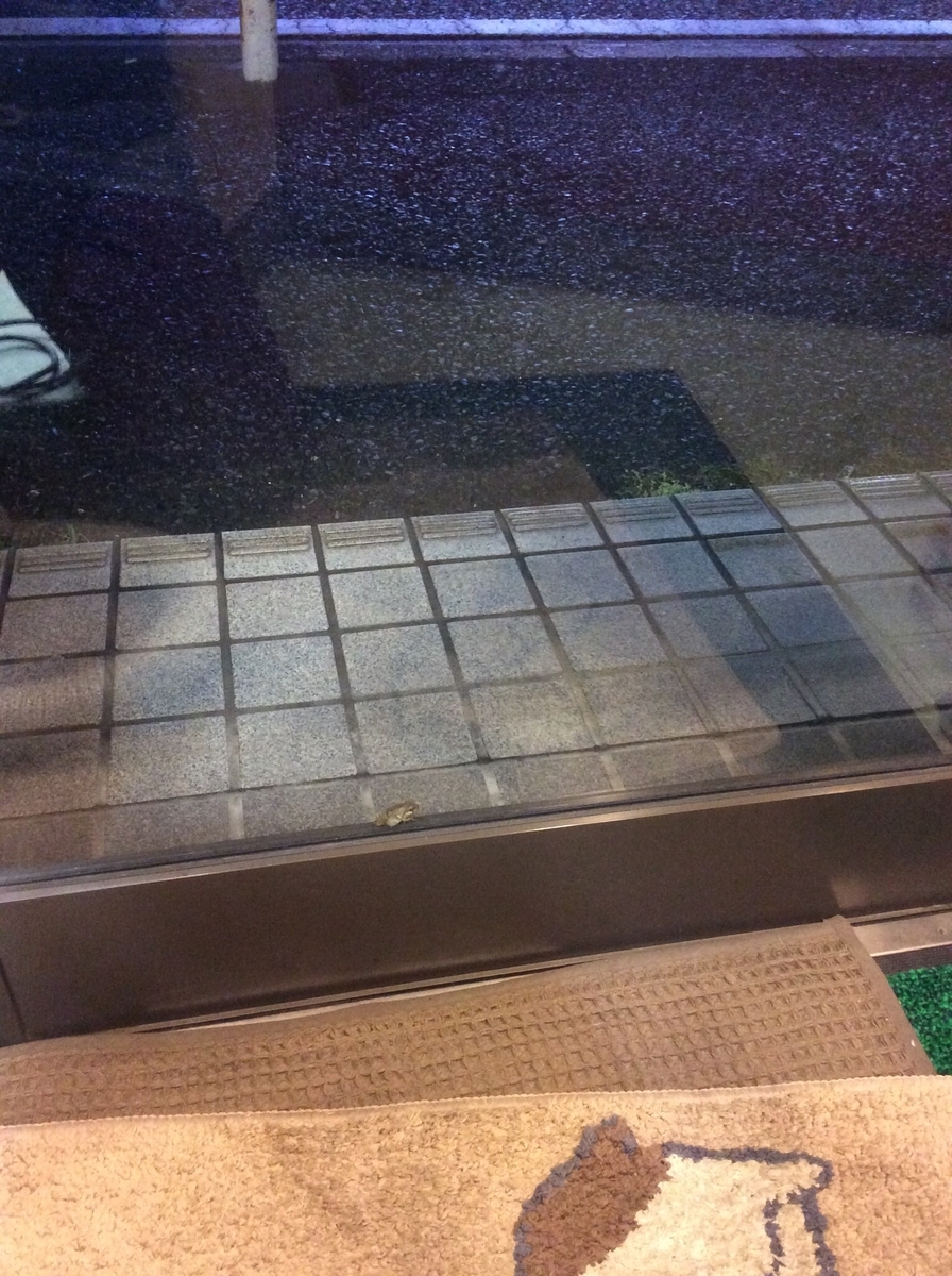 f:id:attack-mana1212:20190609084250j:plain