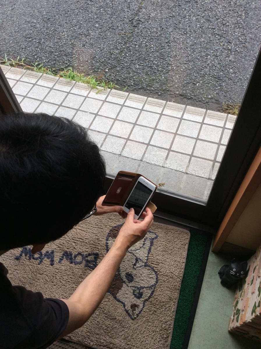 f:id:attack-mana1212:20190623214912j:plain f:id:attack-mana1212:20190623214912j:plain