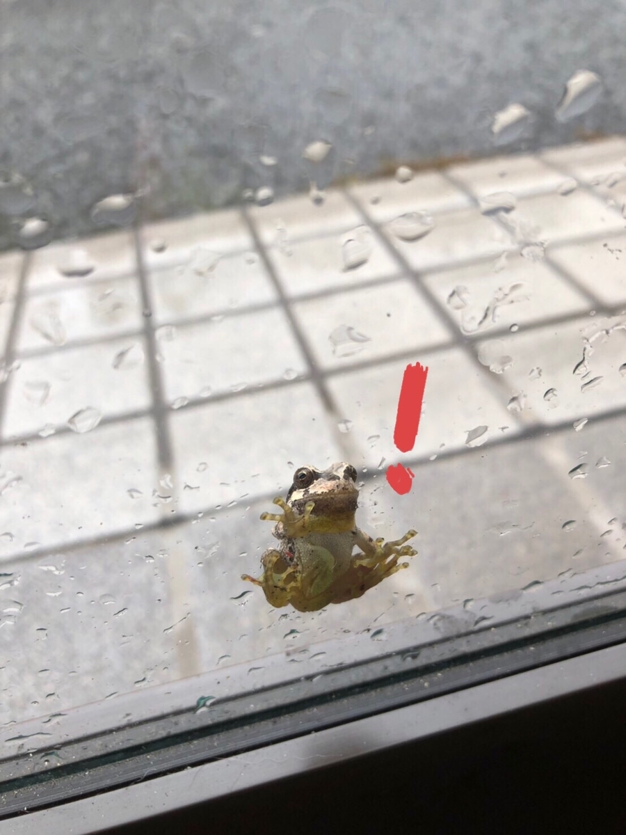 f:id:attack-mana1212:20190623222907j:plain f:id:attack-mana1212:20190623222907j:plain