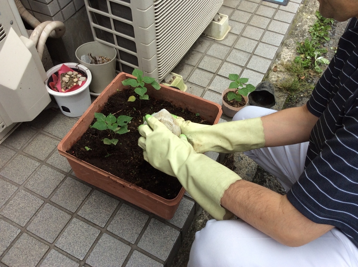 f:id:attack-mana1212:20190706214128j:plain f:id:attack-mana1212:20190706214128j:plain
