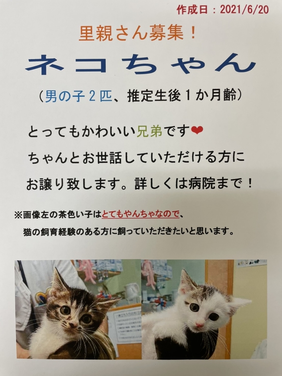 f:id:attack-mana1212:20210620163845j:plain