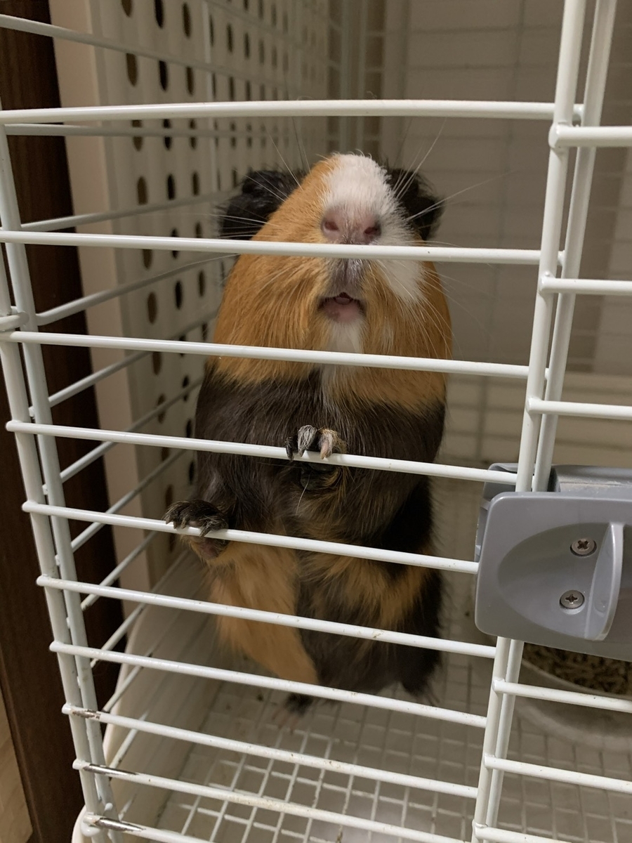 f:id:attack-mana1212:20210818114618j:plain