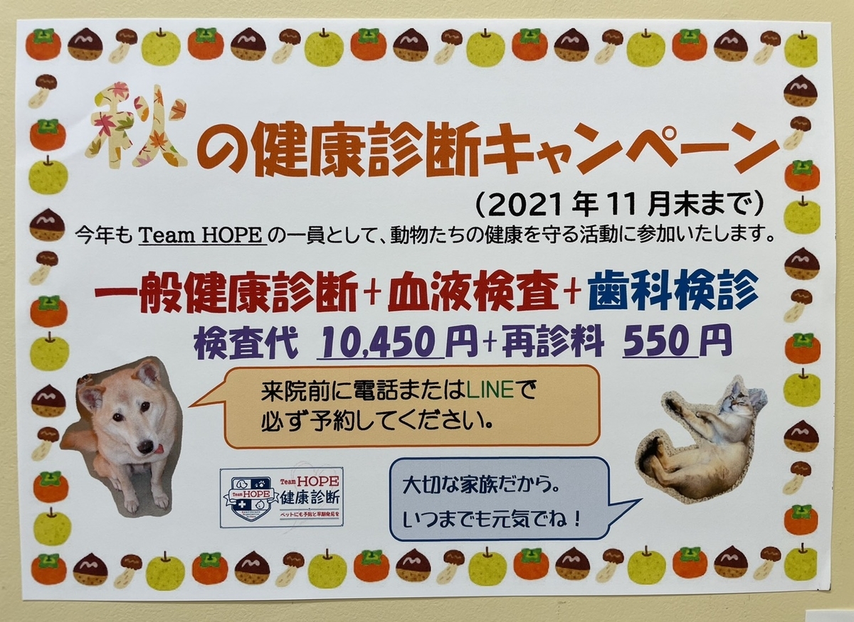 f:id:attack-mana1212:20210917164445j:plain