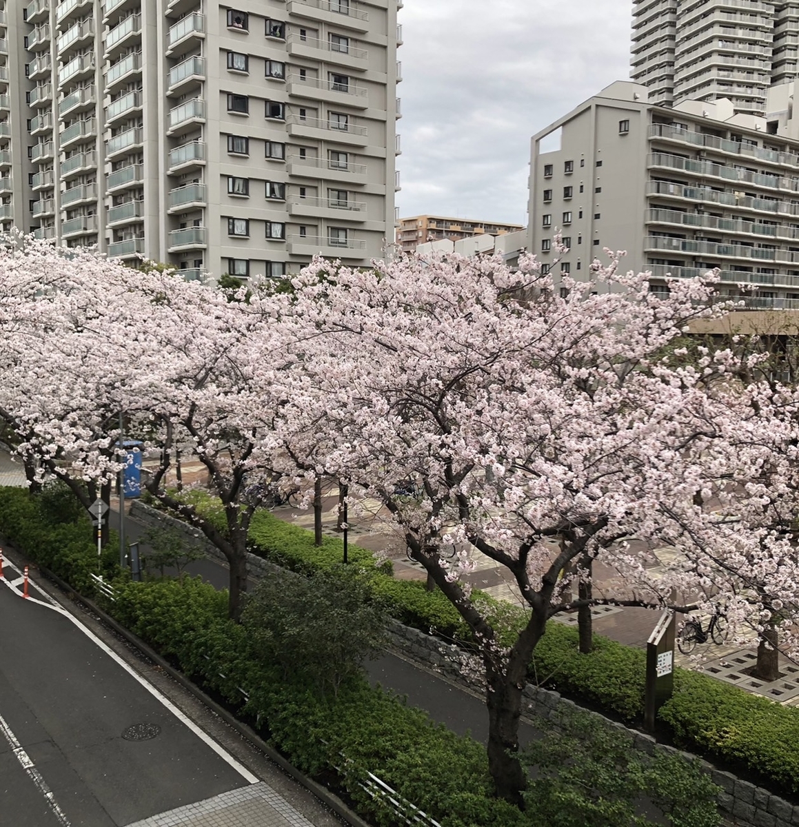 f:id:attack-mana1212:20220328092050j:plain