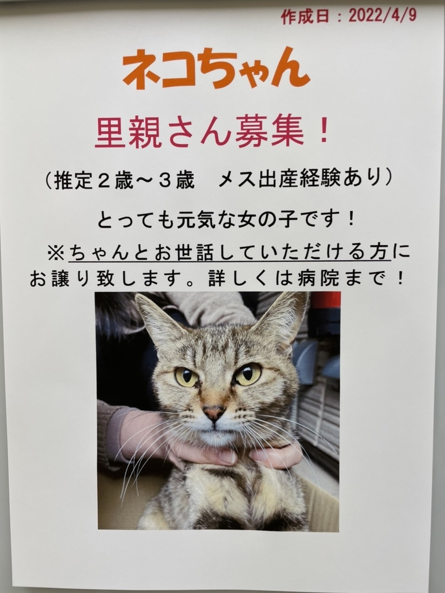 f:id:attack-mana1212:20220409175321j:plain