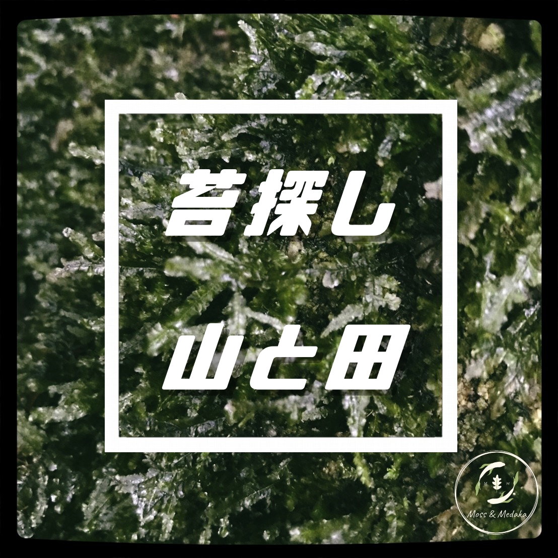 f:id:attohina:20190426224043j:plain f:id:attohina:20190426224043j:plain