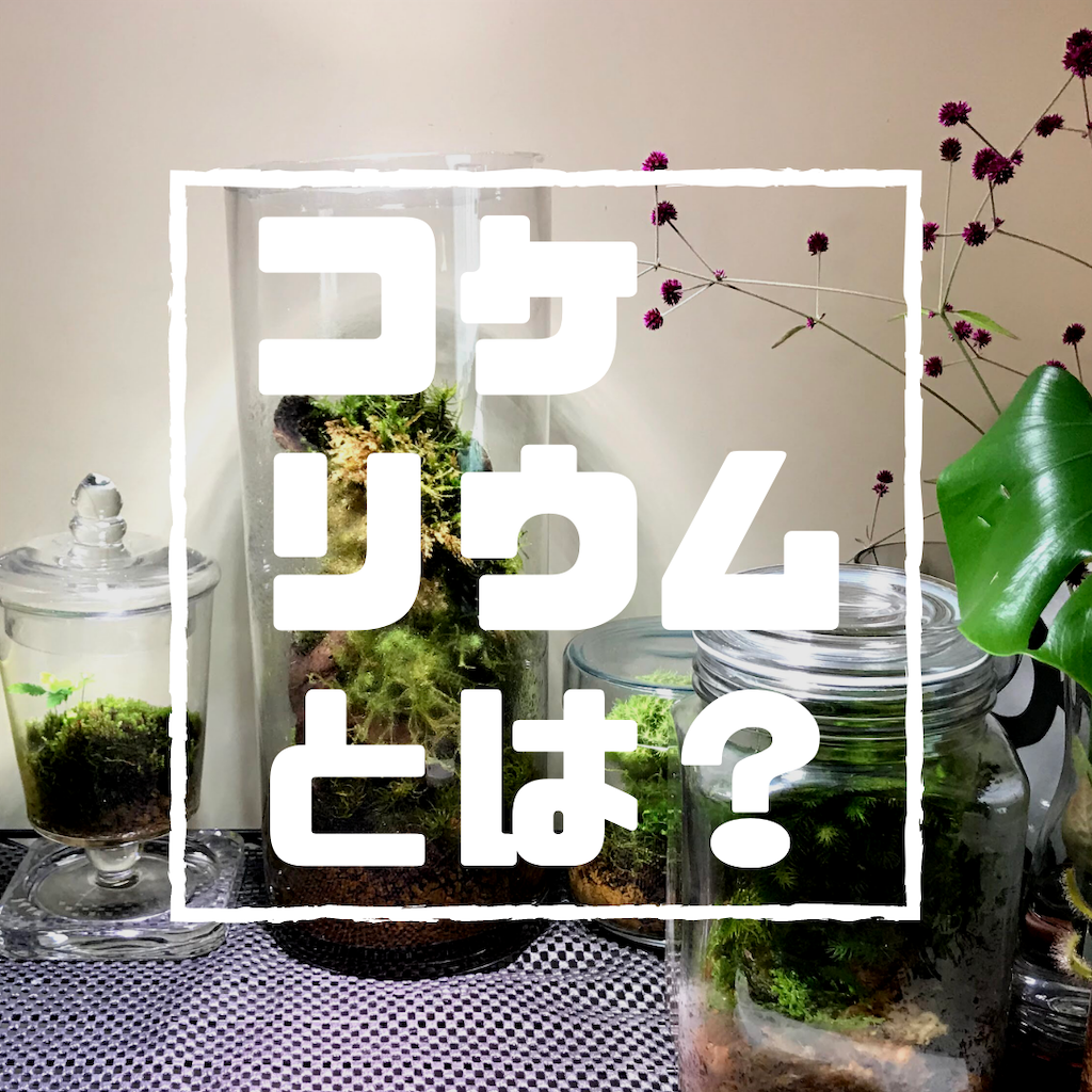 f:id:attohina:20191227221845p:plain f:id:attohina:20191227221845p:plain