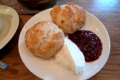 [茶][菓子][食]元町のカフェ、kaoris