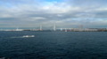 [散歩]横浜港大桟橋埠頭