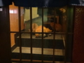 [猫]ビルの谷間に子猫