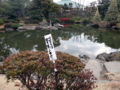 [散歩]両国、旧安田庭園