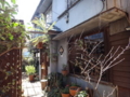 [食][茶]押上のカフェ、Staff Cafe in SPICE Cafe