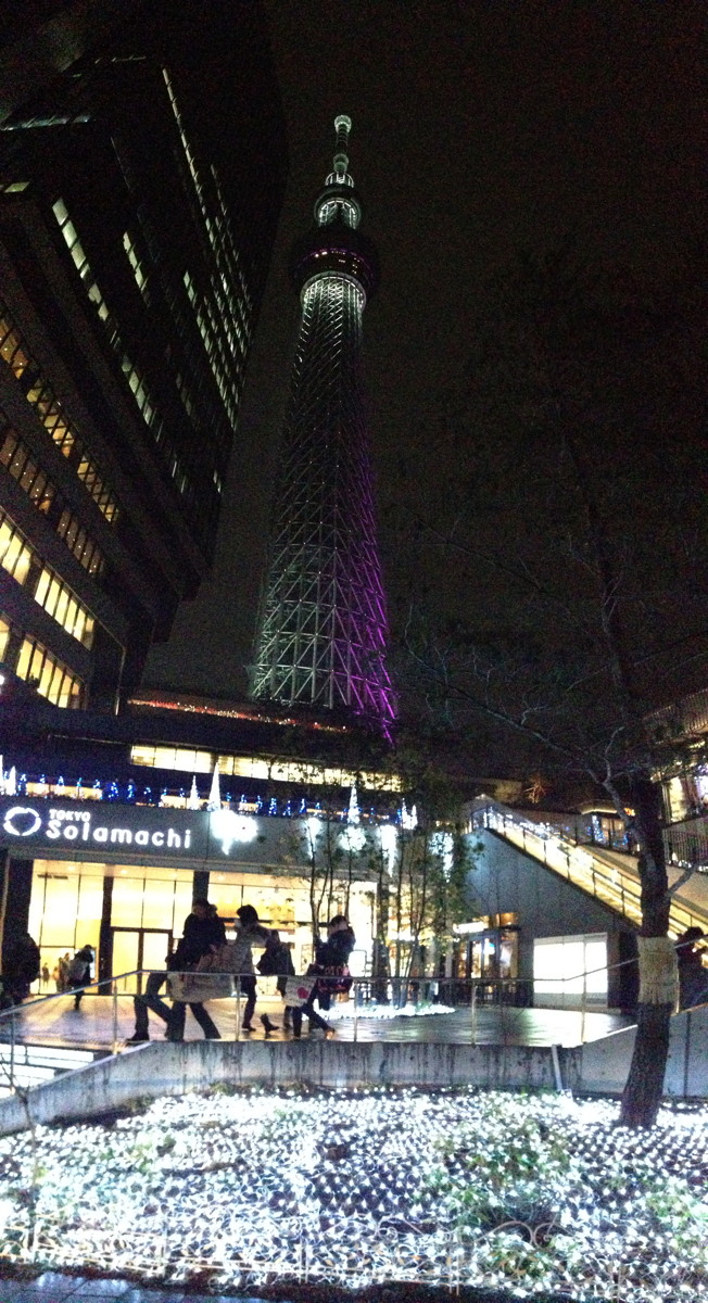 個別「[散歩]押上の東京スカイツリー」の写真、画像 - 201212 - attraction's fotolife