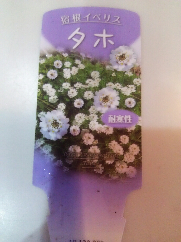 f:id:attsung:20180304171521j:plain f:id:attsung:20180304171521j:plain