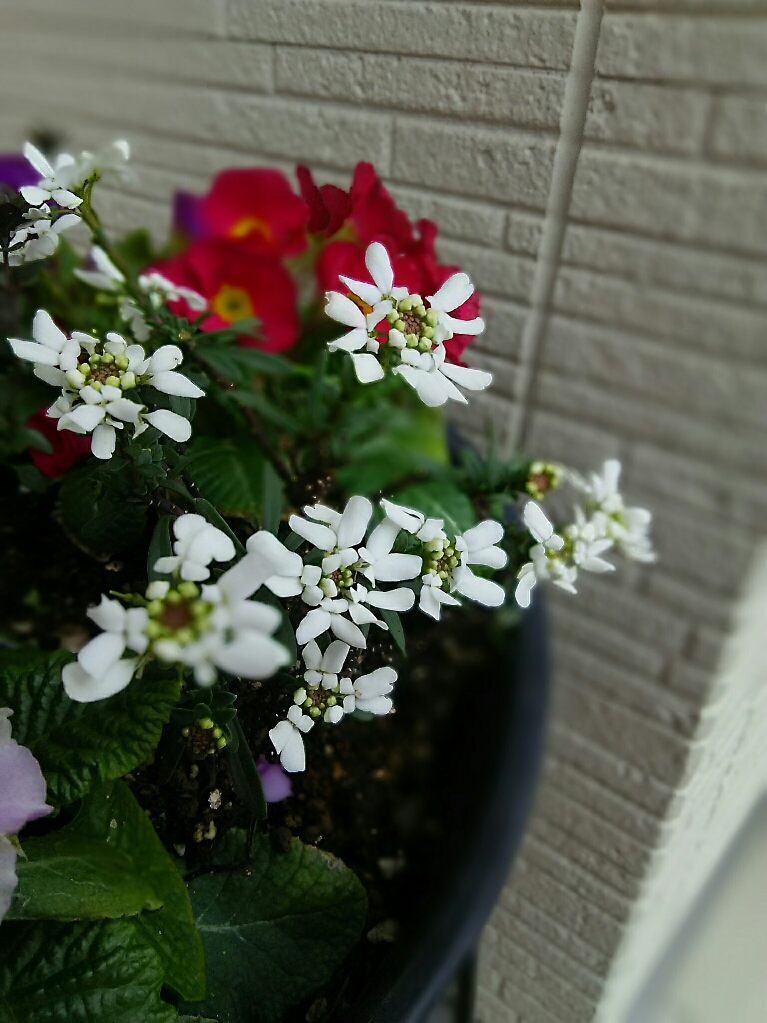 f:id:attsung:20180310153418j:plain f:id:attsung:20180310153418j:plain