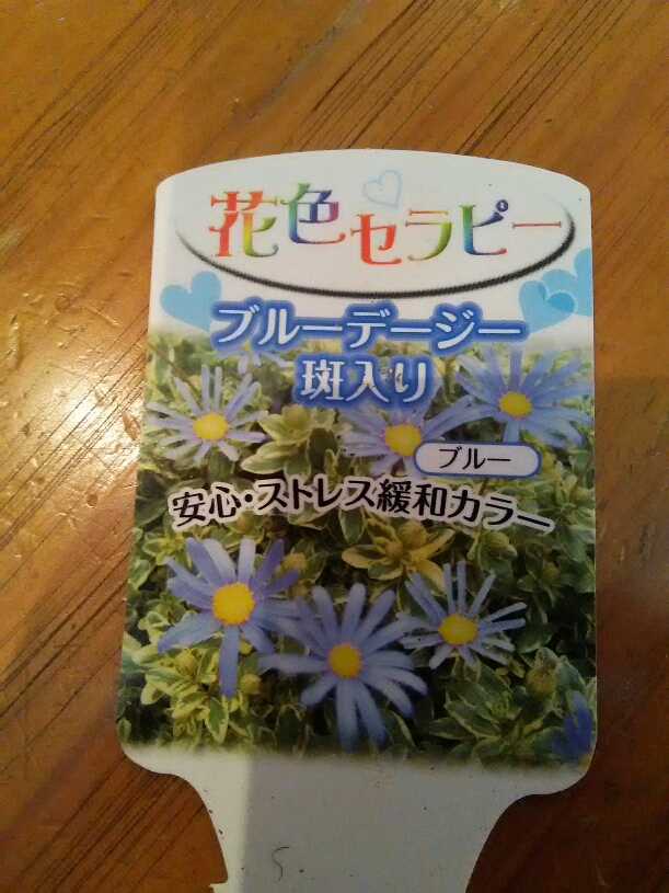 f:id:attsung:20180318174412j:plain f:id:attsung:20180318174412j:plain