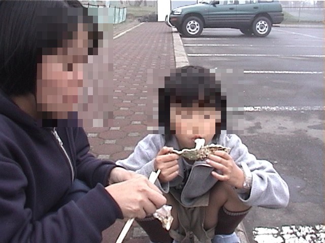 f:id:atunao:20201207143611j:plain