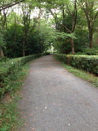 f:id:atutake:20140727123240j:image