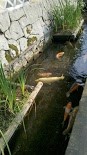 殿町通り