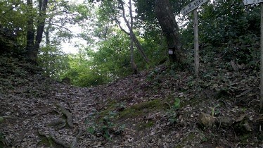 まだ平坦な道