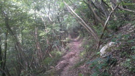 山道