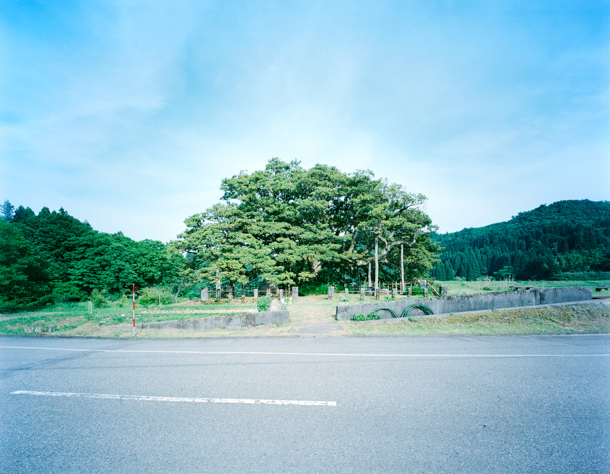 f:id:atzhiz:20190605140818j:plain