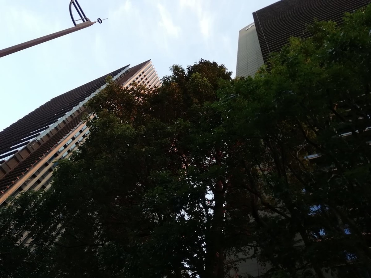 f:id:atzy:20190515145432j:plain