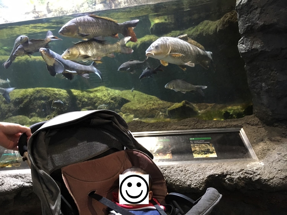 鴨川シーワールドに行ってきました ポケモンニックネーム図鑑 鴨川シーワールドに行ってきました ポケモンニックネーム図鑑
