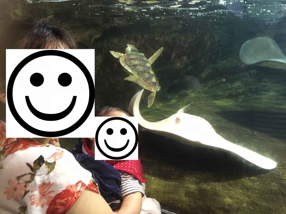 f:id:au31096:20190829204657j:plain