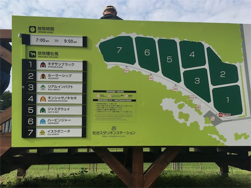 f:id:auaukeiba:20190819215612j:image