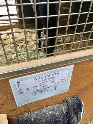f:id:auaukeiba:20190820091827j:image