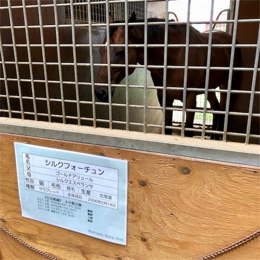 f:id:auaukeiba:20190820093422j:image
