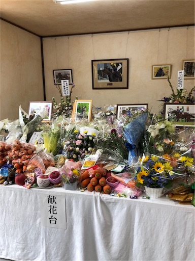 f:id:auaukeiba:20190820094812j:image