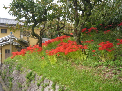 f:id:auauu:20071014205815j:image