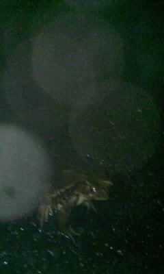 f:id:auauu:20100930205101j:image f:id:auauu:20100930205101j:image