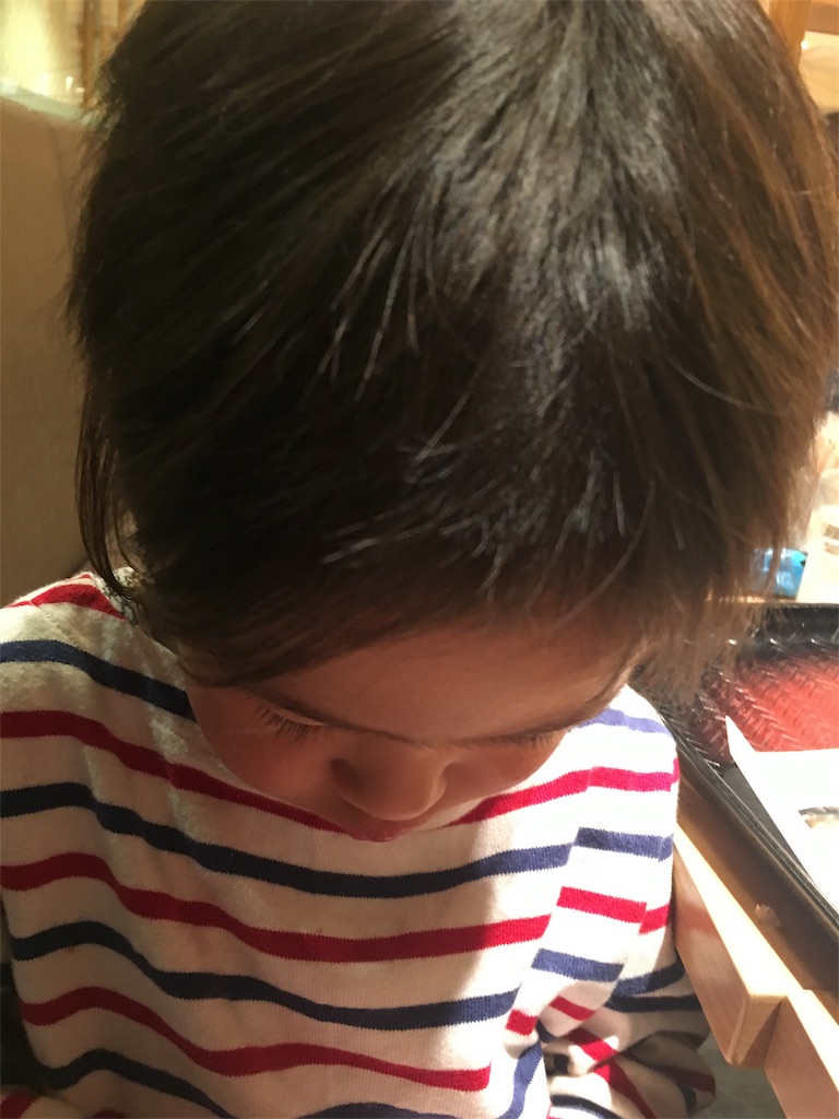 f:id:aubamboo630:20170515080946j:image