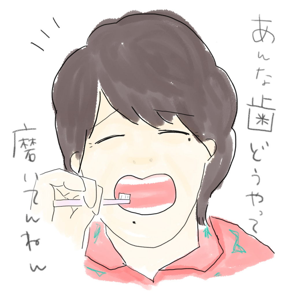f:id:aubergine_verte:20171120191449j:plain f:id:aubergine_verte:20171120191449j:plain
