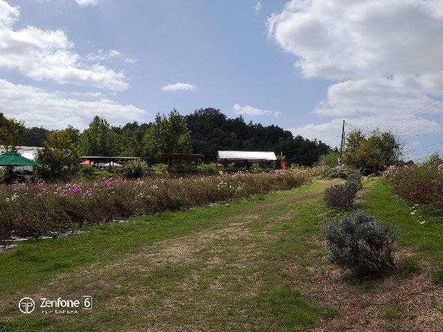 f:id:audio-life:20191104232150j:image