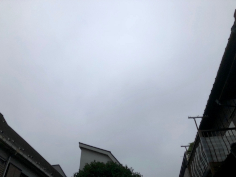 f:id:auditor28:20180828065228j:image:w360
