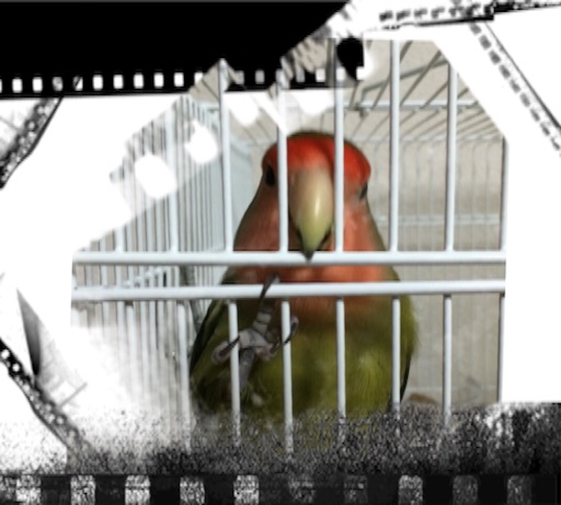 f:id:aufheben1007:20150902055744j:image