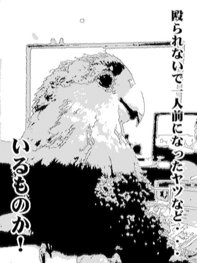 f:id:aufheben1007:20150909172551j:image f:id:aufheben1007:20150909172551j:image