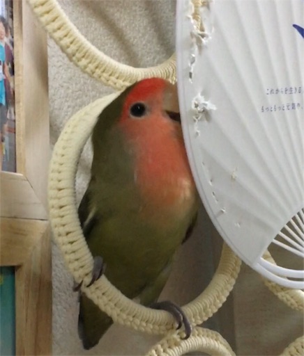 f:id:aufheben1007:20160824232141j:image