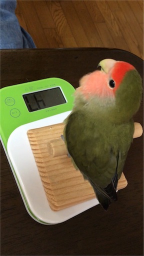 f:id:aufheben1007:20160827205601j:image