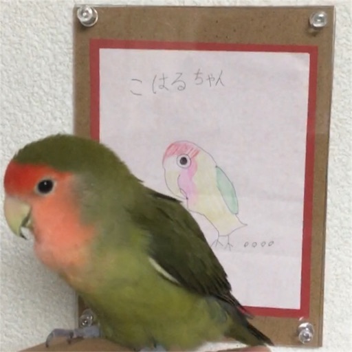 f:id:aufheben1007:20180105233239j:image