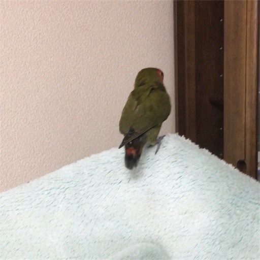 f:id:aufheben1007:20180121073854j:image