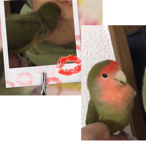 f:id:aufheben1007:20180121074734j:image