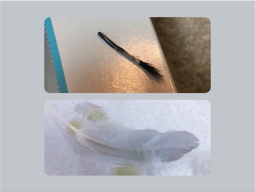 f:id:aufheben1007:20180306121001j:image