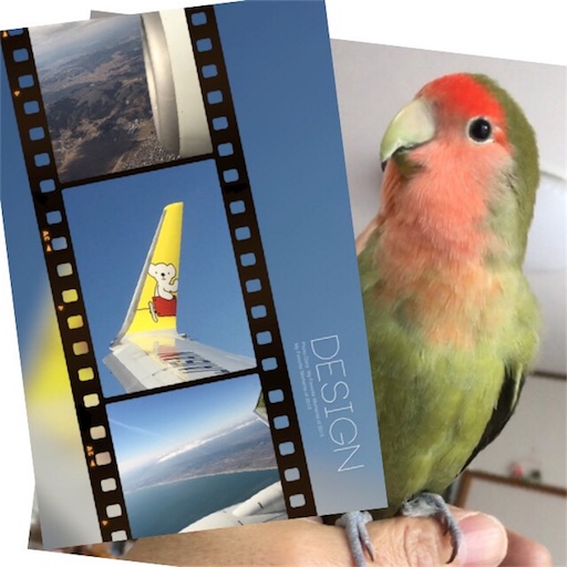 f:id:aufheben1007:20180306121011j:image